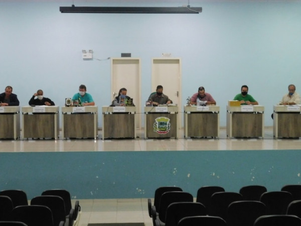 11ª Sessão Plenária Ordinária 2020