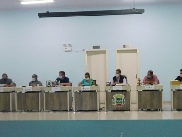 12ª Sessão Plenária Ordinária 2020