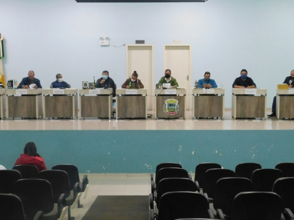 14ª Sessão Plenária Ordinária 2020