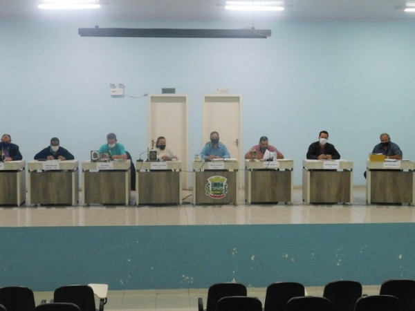 24ª Sessão Plenária Ordinária 2020