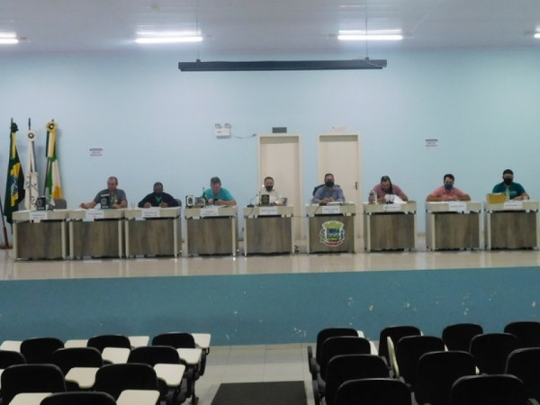 28ª Sessão Plenária Ordinária 2020
