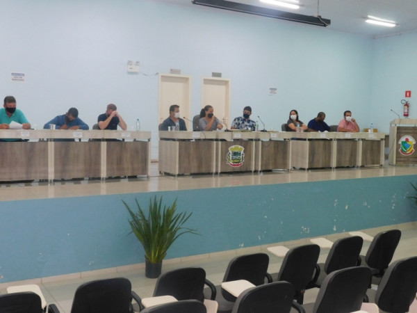 01º sessão Plenária Ordinária 2021