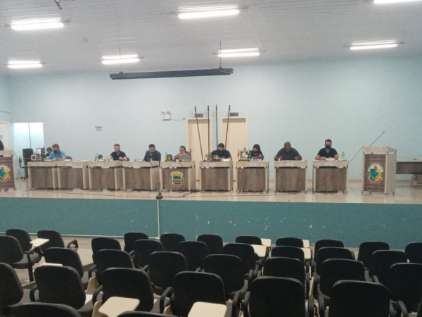 029º sessão ordinária plenária